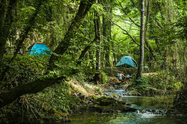 Quels sont les avantages d'utiliser une tente suspendue pour camper en forêt humide?